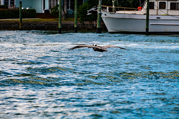 20190413-2019 Safey Harbor Day 2-general_fam-DSC_2473-19-8256 x 5504