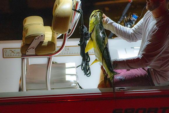 20190410-Ebix Day 1 boat-general_fam-DSC_2013-19-8256 x 5504