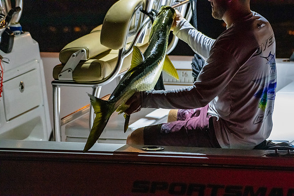 20190410-Ebix Day 1 boat-general_fam-DSC_2006-17-8256 x 5504