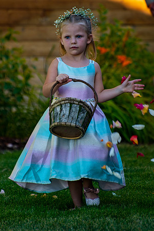 20200815-Bostrom_Wed-61-DSC_3236-8256 x 5504