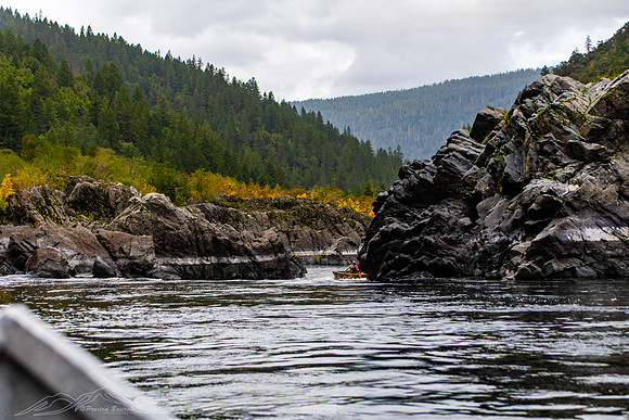 Rogue_River-48-20191018-2019 -DSC_2378-414-5568 x 3712-5568 x 3712