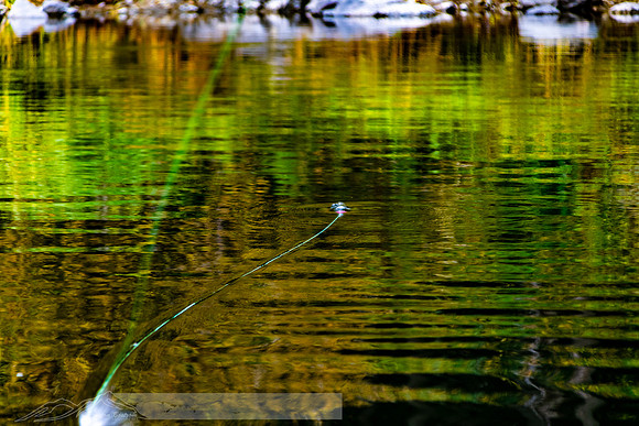 Rogue_River-35-20191018-2019 -DSC_2164-200-5568 x 3712-5568 x 3712