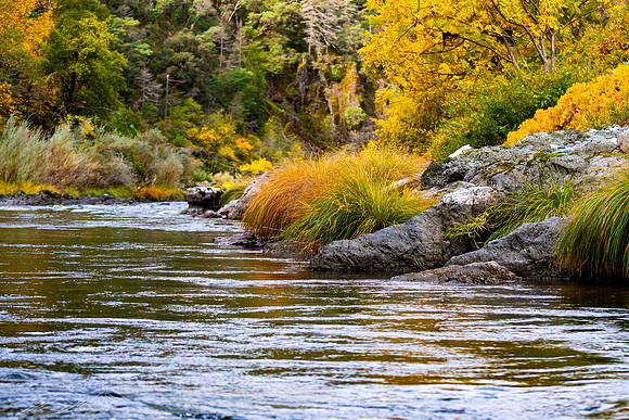 Rogue_River-22-20191018-2019 -DSC_2078-114-5568 x 3712-5568 x 3712