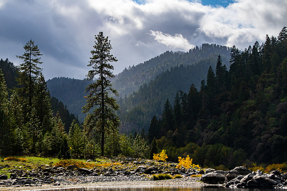 Rogue_River-48-20191018-2019 -DSC_2211-247-5568 x 3712-5568 x 3712