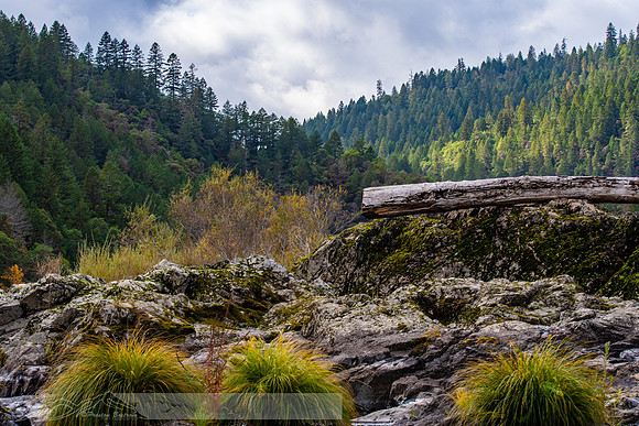 Rogue_River-44-20191018-2019 -DSC_2186-222-5568 x 3712-5568 x 3712