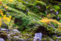 Rogue_River-14-20191018-2019 -DSC_2057-93-5568 x 3712-5568 x 3712
