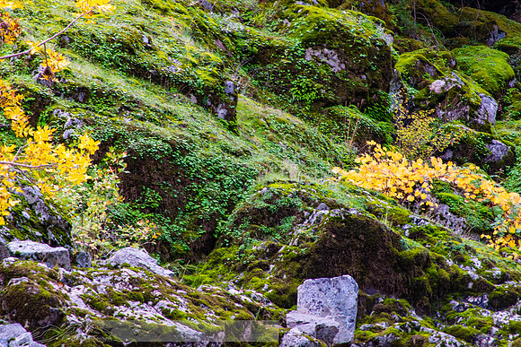 Rogue_River-14-20191018-2019 -DSC_2057-93-5568 x 3712-5568 x 3712
