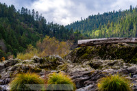 fb-19-20191018-2019 -DSC_2186-222-5568 x 3712-5568 x 3712