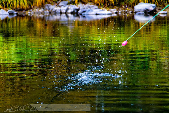 Rogue_River-39-20191018-2019 -DSC_2168-204-5568 x 3712-5568 x 3712