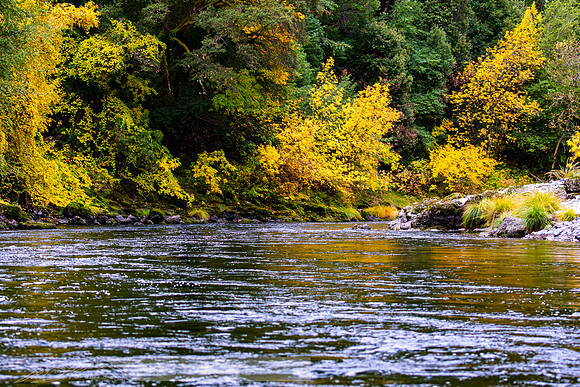 Rogue_River-22-20191018-2019 -DSC_2072-108-5568 x 3712-5568 x 3712