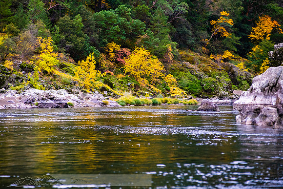 Rogue_River-12-20191018-2019 -DSC_2054-90-5568 x 3712-5568 x 3712