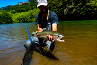 Patagonia