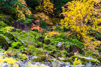 Rogue_River-15-20191018-2019 -DSC_2059-95-5568 x 3712-5568 x 3712