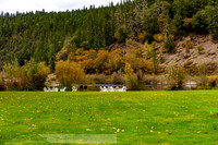 fb-2-20191017-2019 Rogue River-DSC_0800-4-8256 x 5504-8256 x 5504