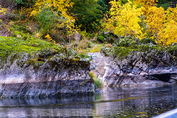 Rogue_River-17-20191018-2019 -DSC_2066-102-5568 x 3712-5568 x 3712