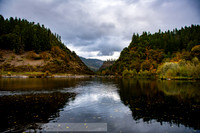 fb-4-20191017-2019 Rogue River-DSC_0814-18-8256 x 5504-8256 x 5504