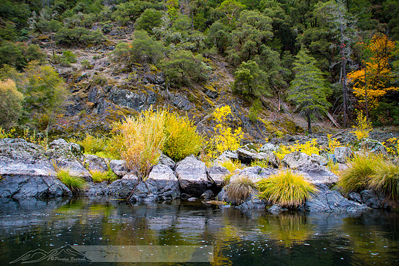 Rogue_River-40-20191018-2019 -DSC_2180-216-5568 x 3712-5568 x 3712