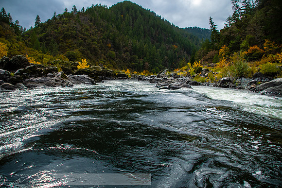 Rogue_River-44-20191018-2019 -DSC_2322-358-5568 x 3712-5568 x 3712