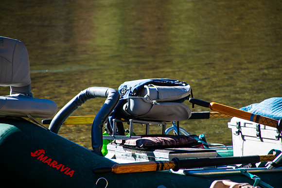 DSC_0010(1)